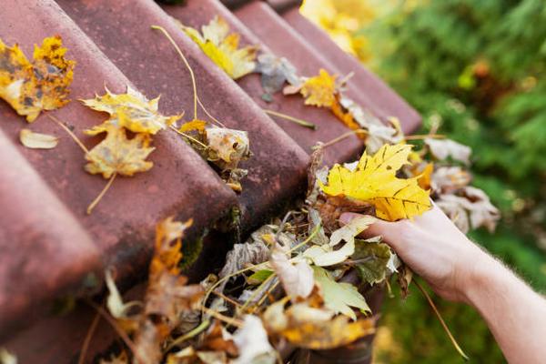 Save Money with Proactive Roof Repairs